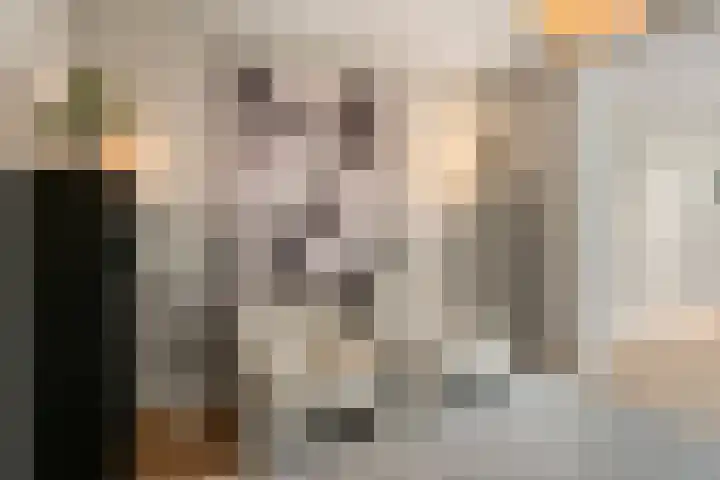Julianalaan 40 Arnhem thumbnail 12