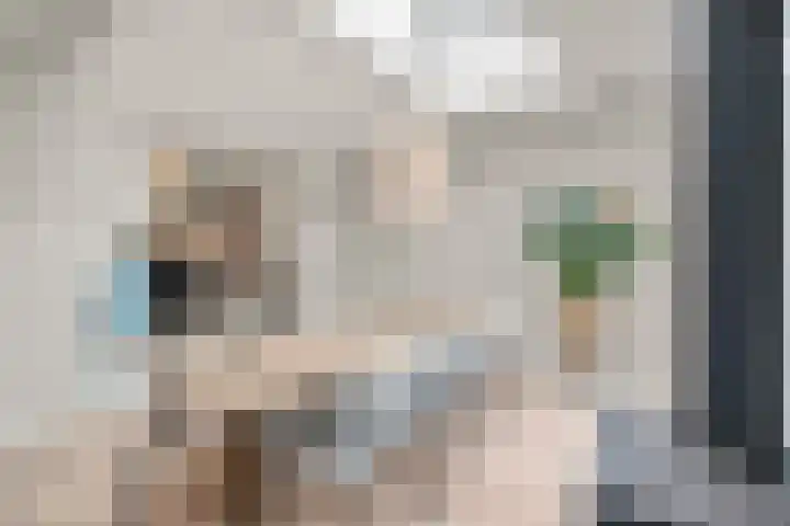Julianalaan 40 Arnhem thumbnail 16