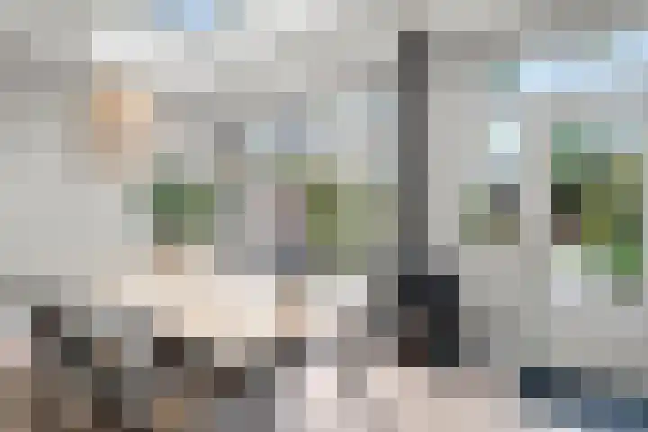 Julianalaan 40 Arnhem thumbnail 17