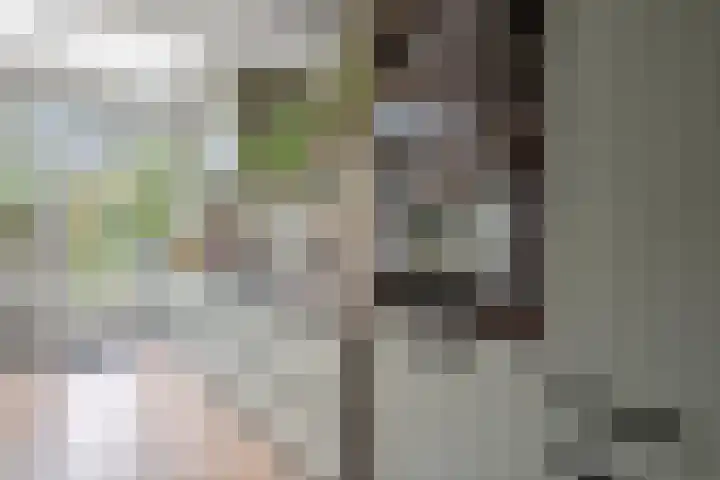 Julianalaan 40 Arnhem thumbnail 18