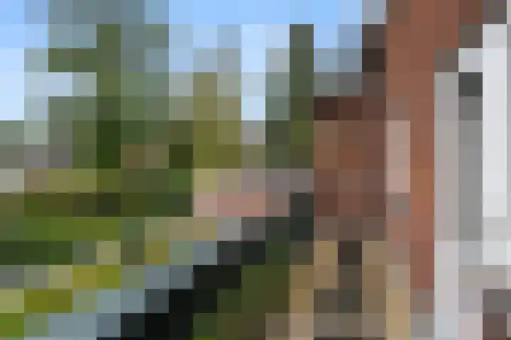 Julianalaan 40 Arnhem thumbnail 28