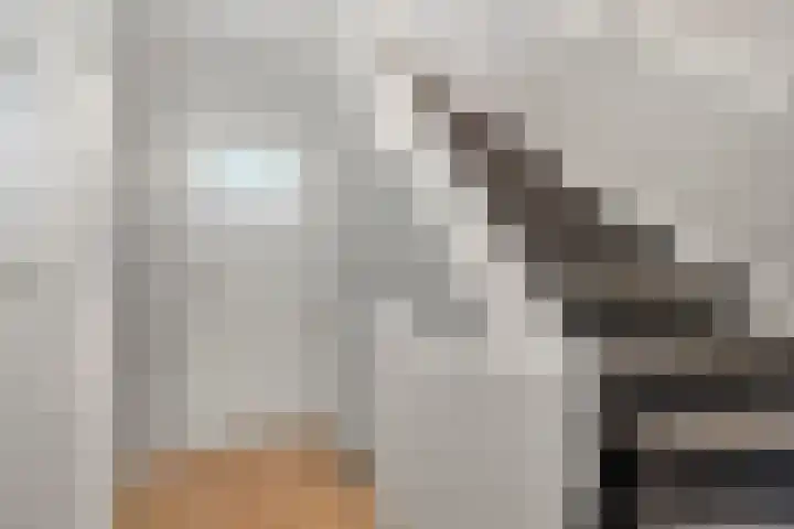Julianalaan 40 Arnhem thumbnail 30