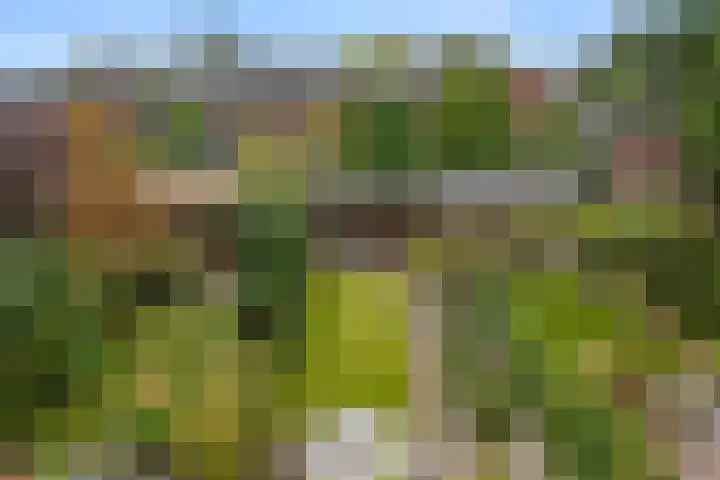 Julianalaan 40 Arnhem thumbnail 37