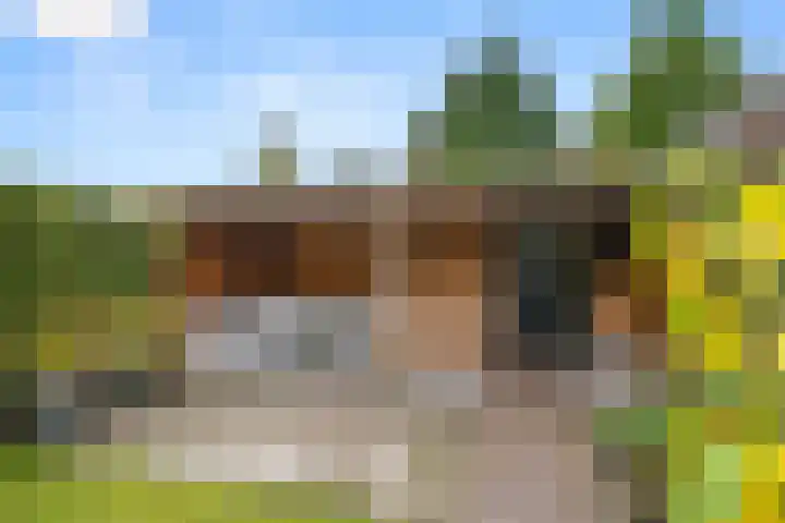 Julianalaan 40 Arnhem thumbnail 45