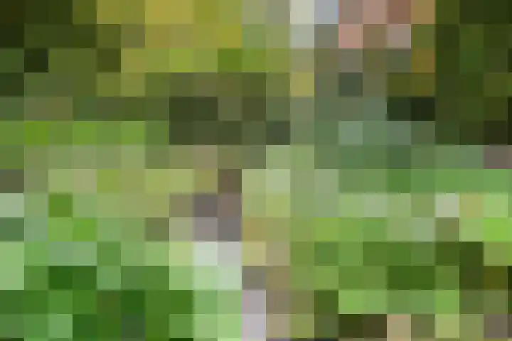 Julianalaan 40 Arnhem thumbnail 48