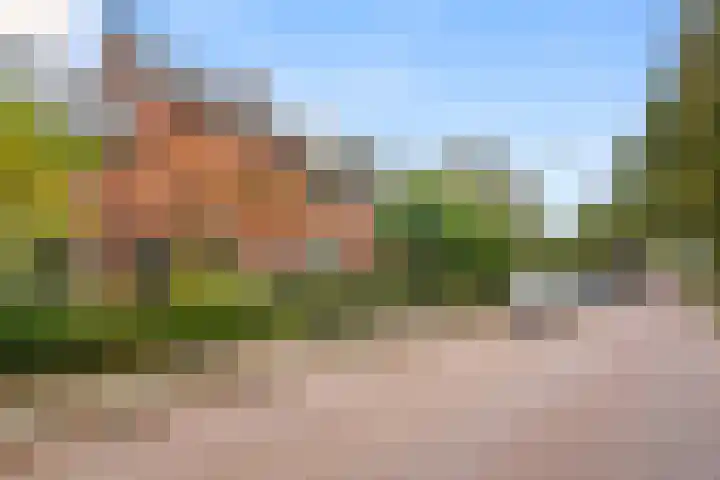 Julianalaan 40 Arnhem thumbnail 49