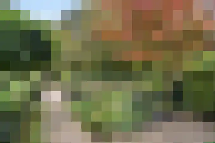 Julianalaan 40 Arnhem thumbnail 5