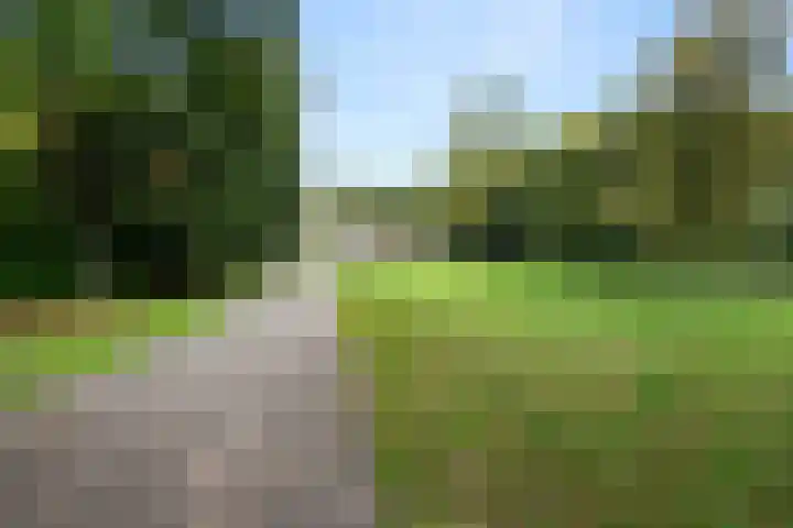 Julianalaan 40 Arnhem thumbnail 51