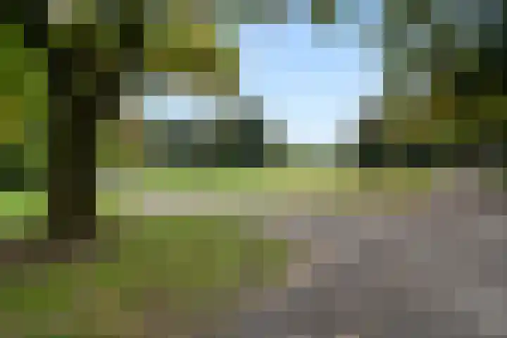 Julianalaan 40 Arnhem thumbnail 52