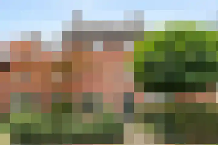Julianalaan 40 Arnhem thumbnail 53