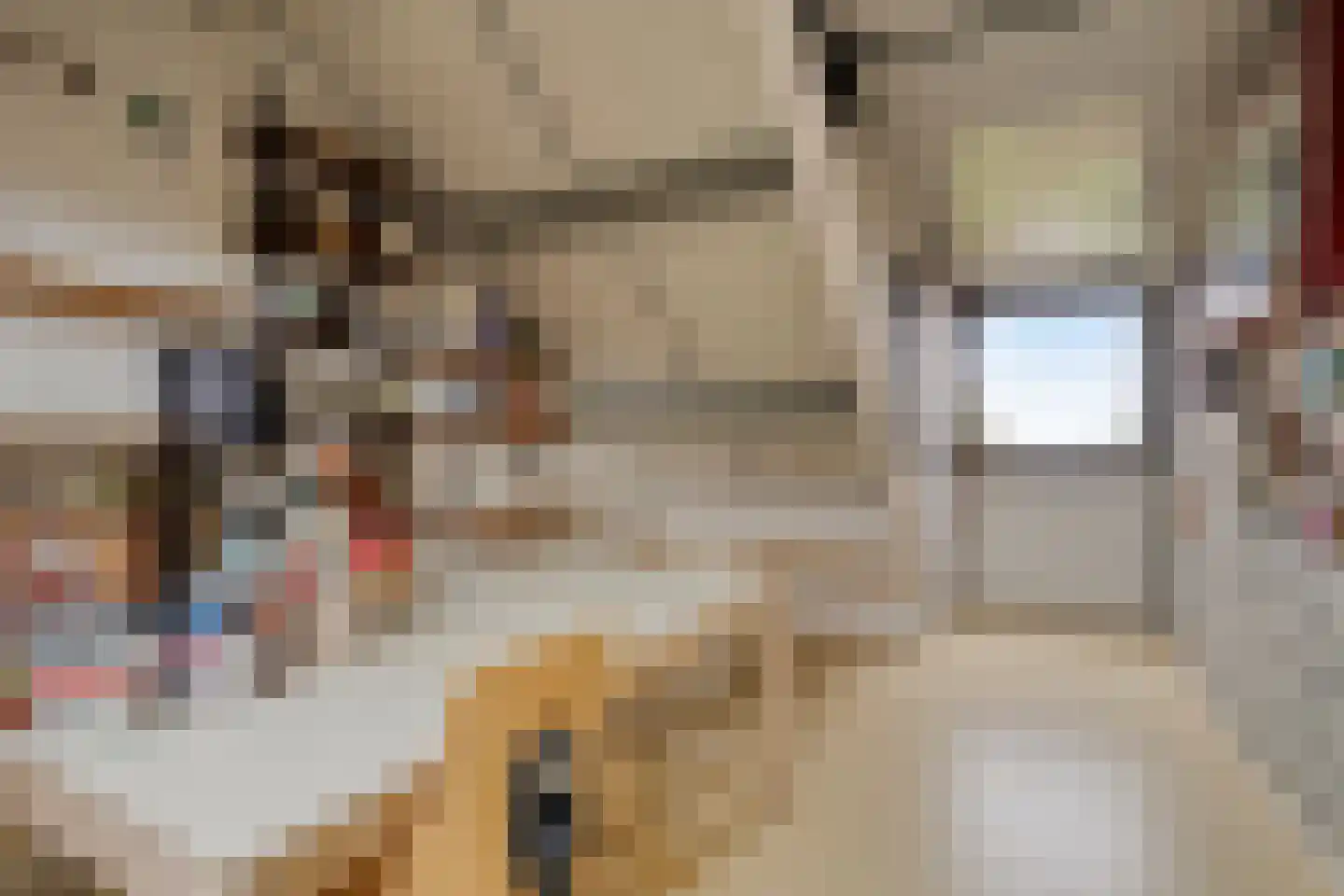 Julianalaan 40 Margraten thumbnail 24