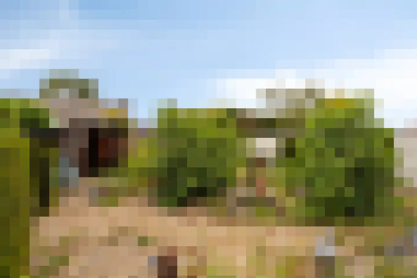 Julianalaan 40 Margraten thumbnail 27