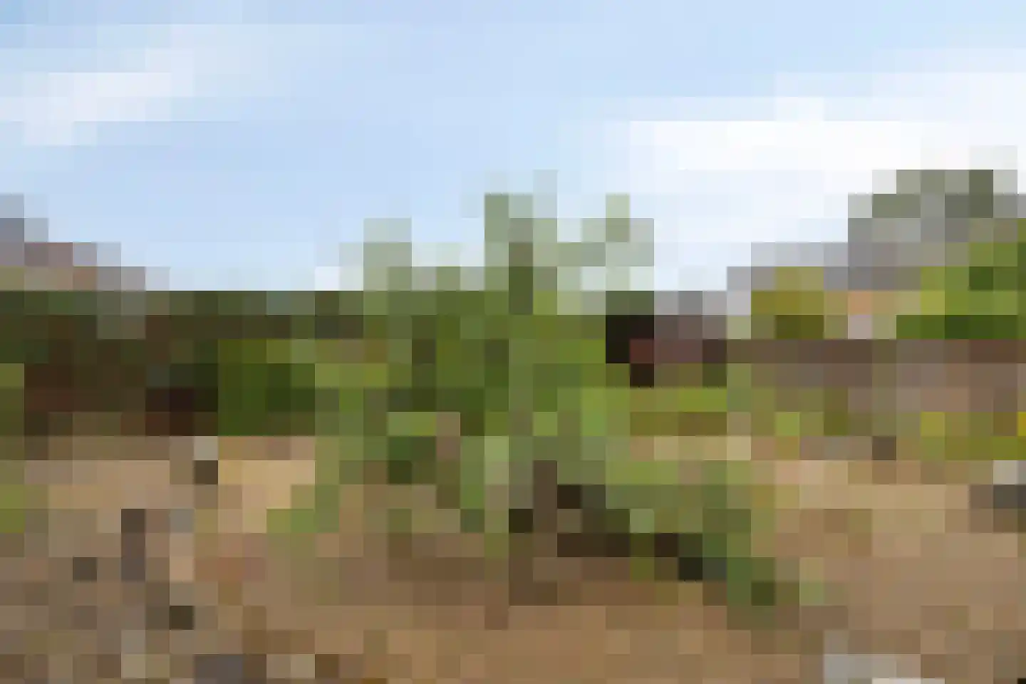Julianalaan 40 Margraten thumbnail 28
