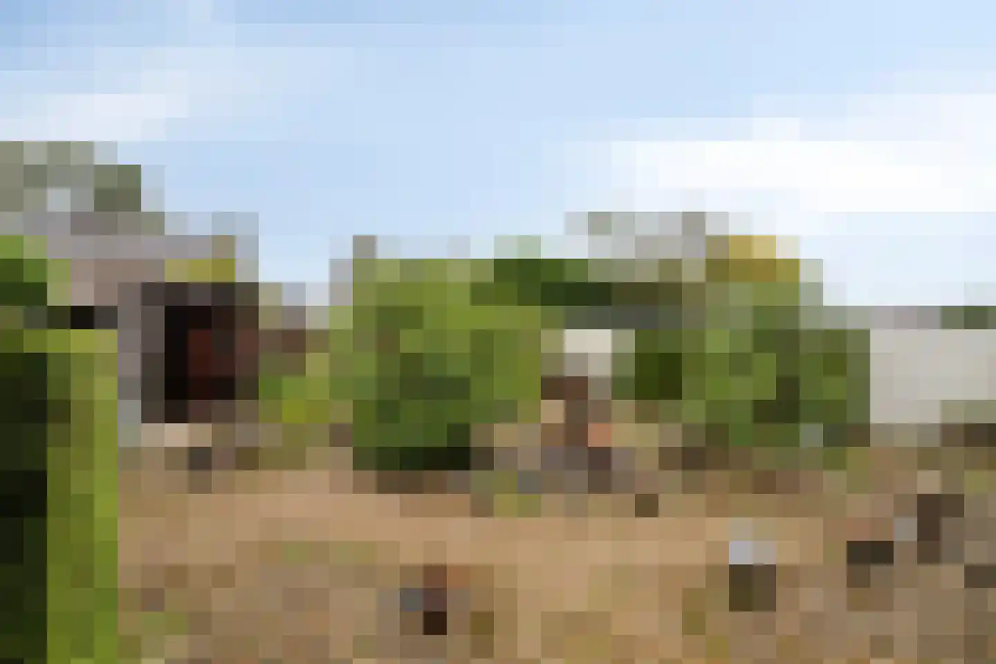 Julianalaan 40 Margraten thumbnail 4