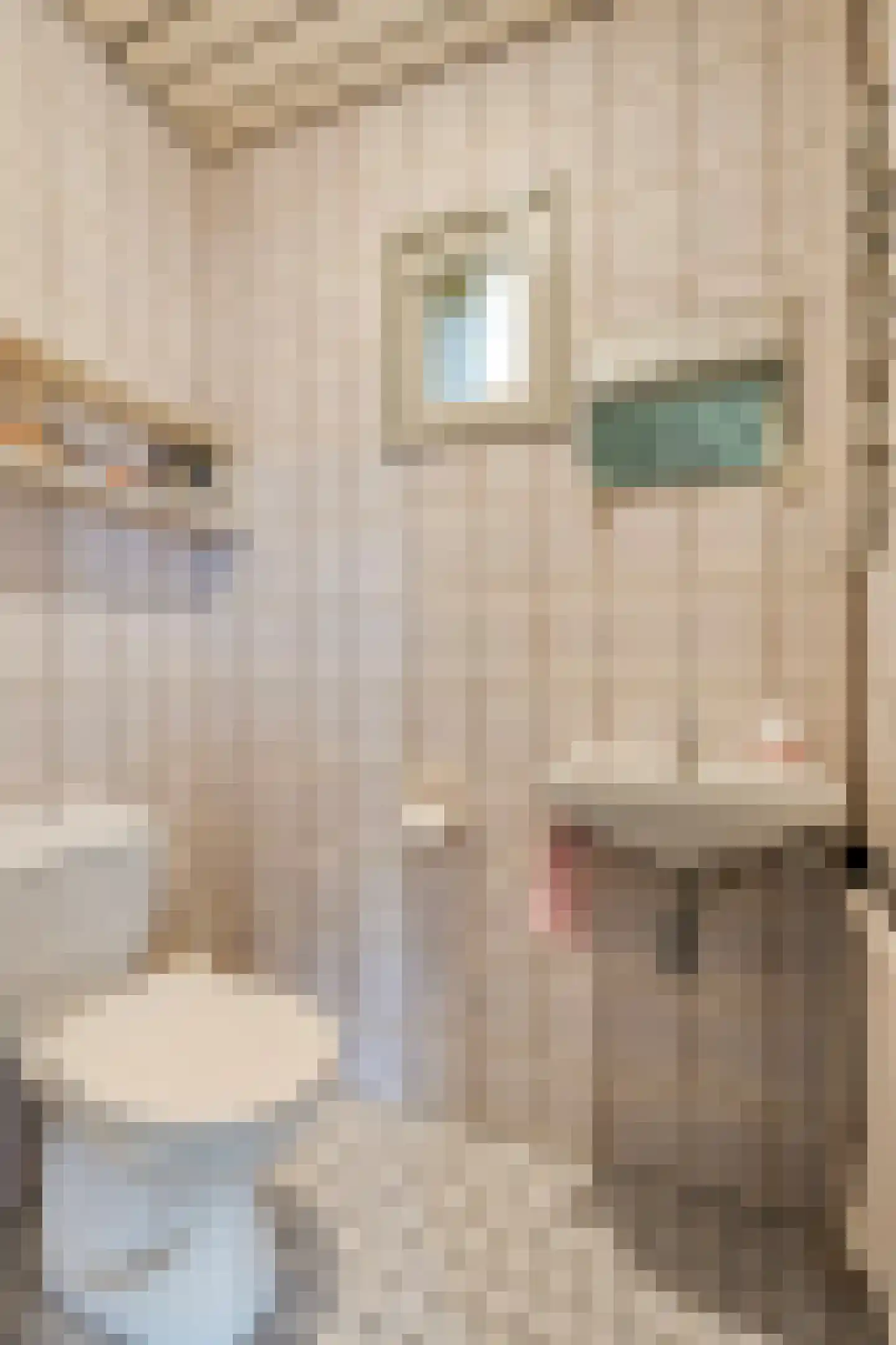 Julianalaan 40 Margraten thumbnail 8
