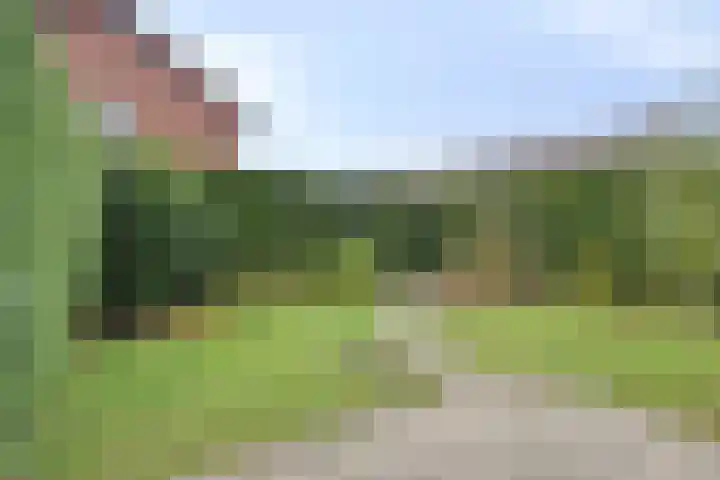 Julianalaan 40 Posterholt thumbnail 30