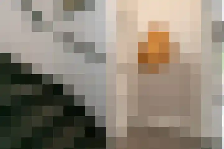 Julianalaan 40 Weert thumbnail 17