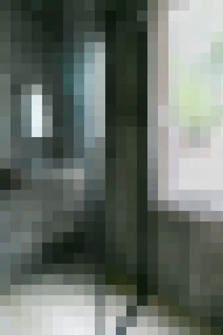 Julianalaan 40 Weert thumbnail 22