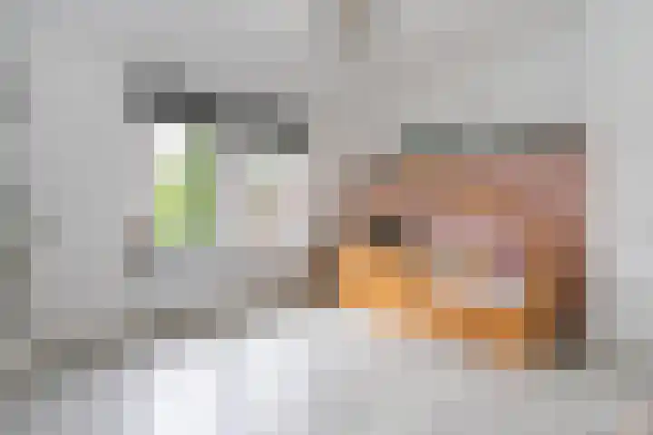 Julianalaan 40 Weert thumbnail 31