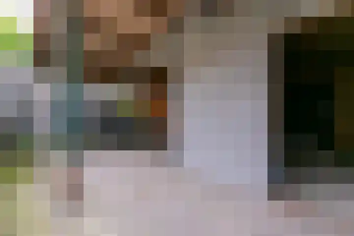 Julianalaan 40 Weert thumbnail 36