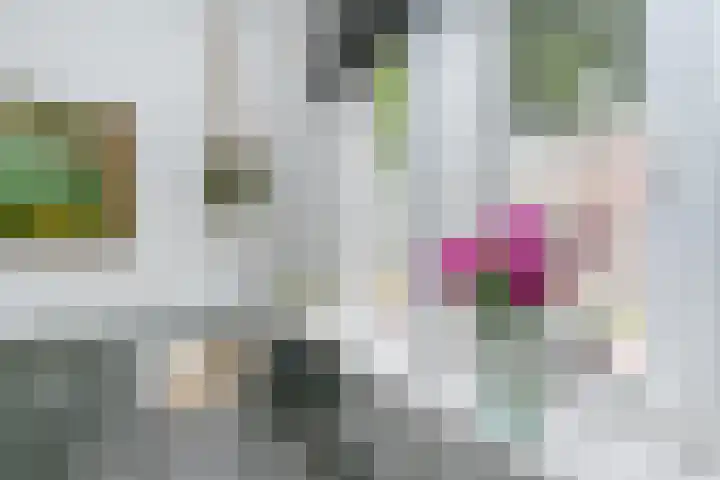 Julianalaan 40 Weert thumbnail 7