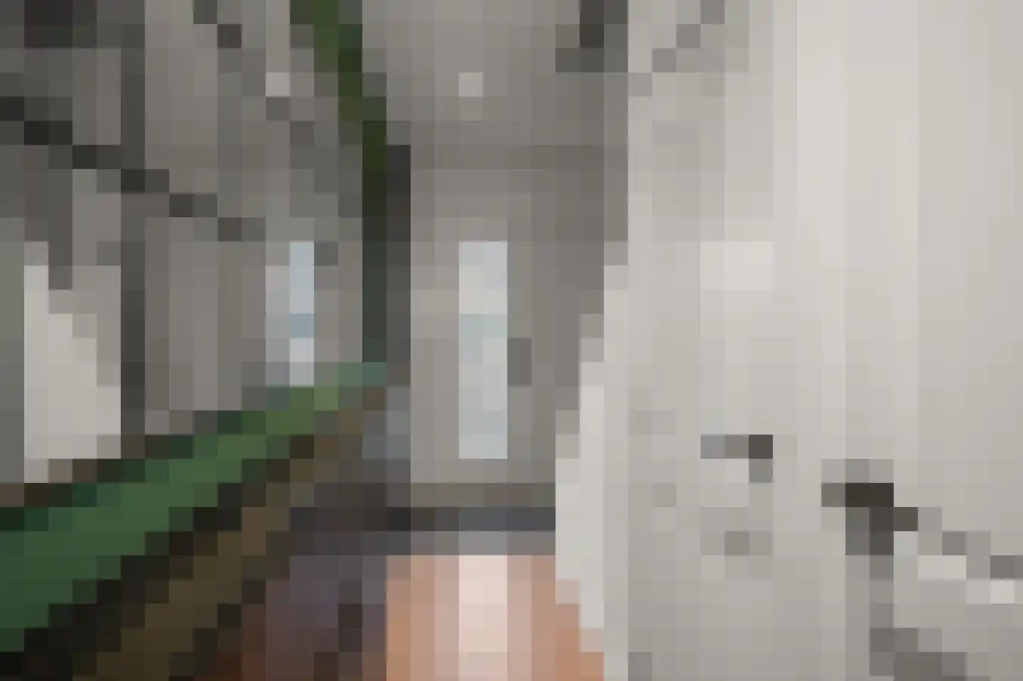 Julianalaan 41 Nieuwkoop thumbnail 17