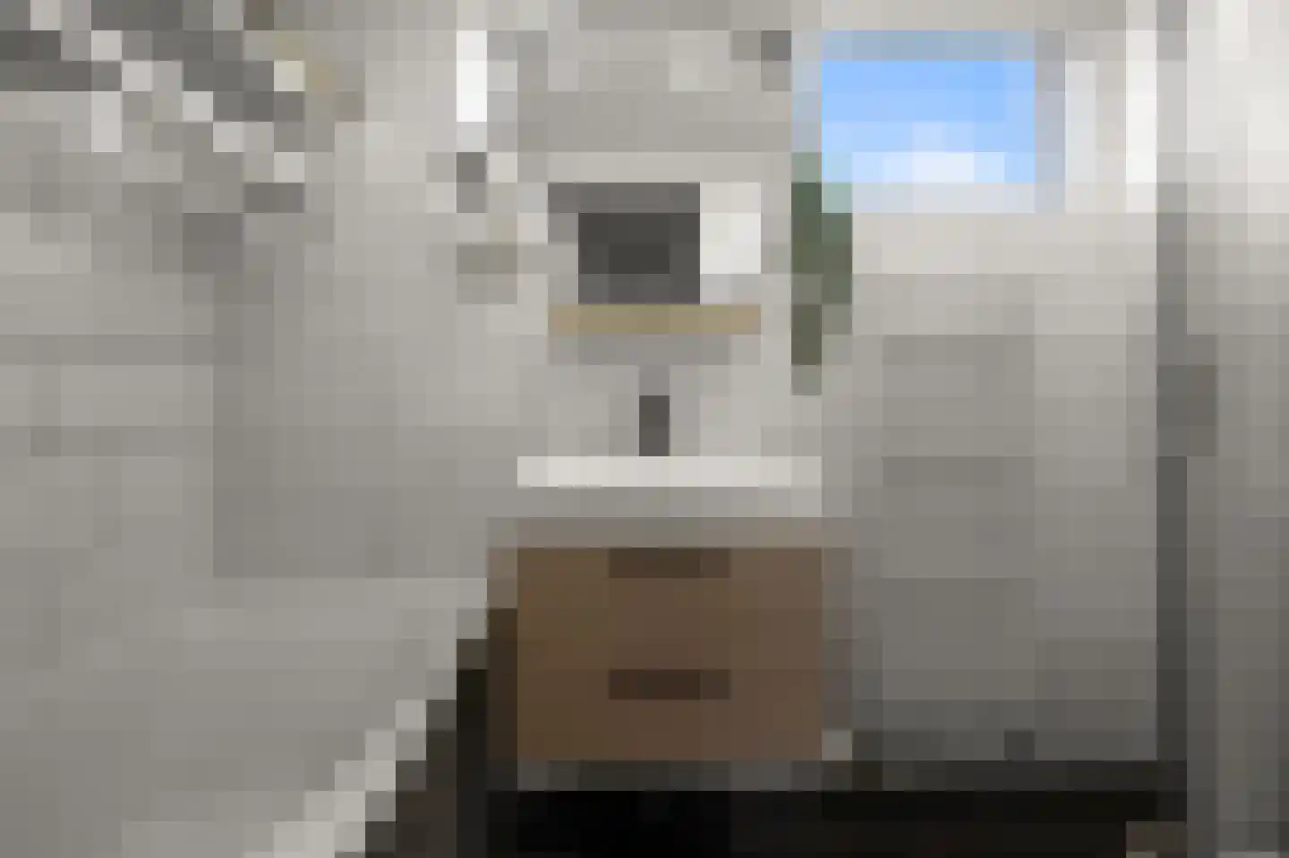 Julianalaan 41 Nieuwkoop thumbnail 31
