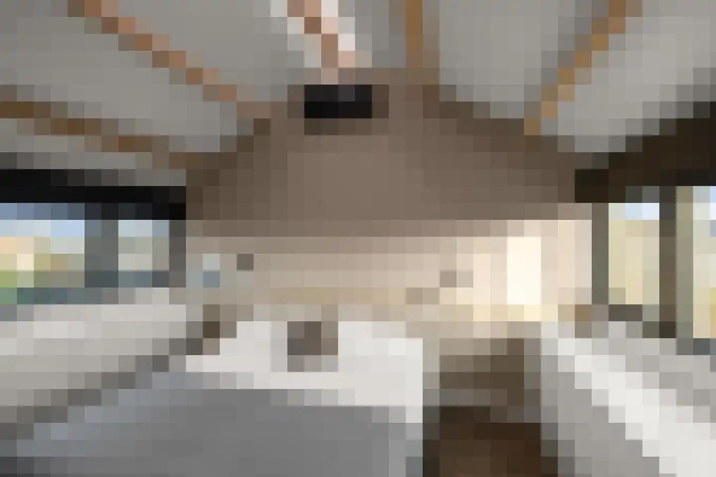 Julianalaan 41 Nieuwkoop thumbnail 34