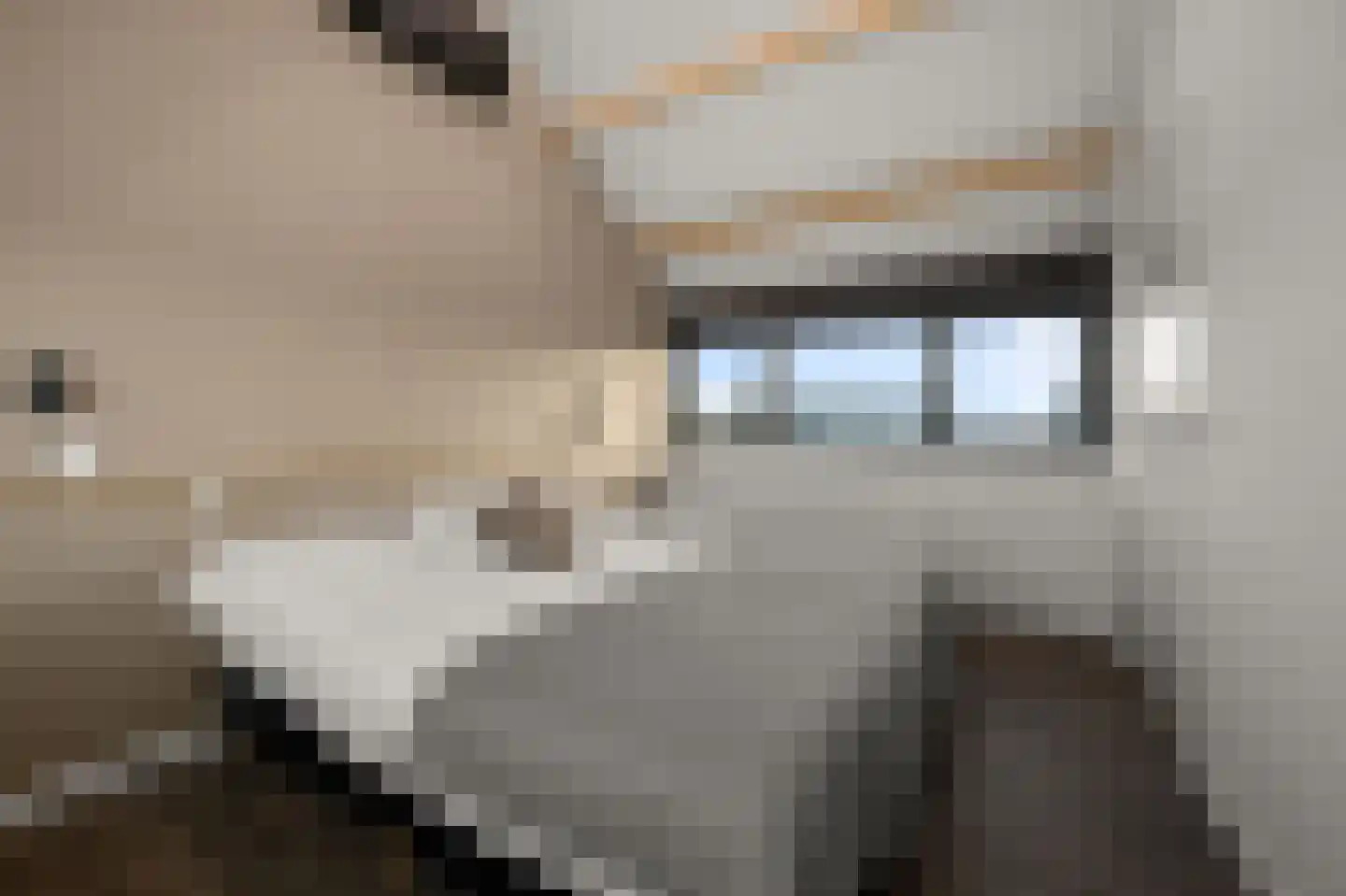 Julianalaan 41 Nieuwkoop thumbnail 35