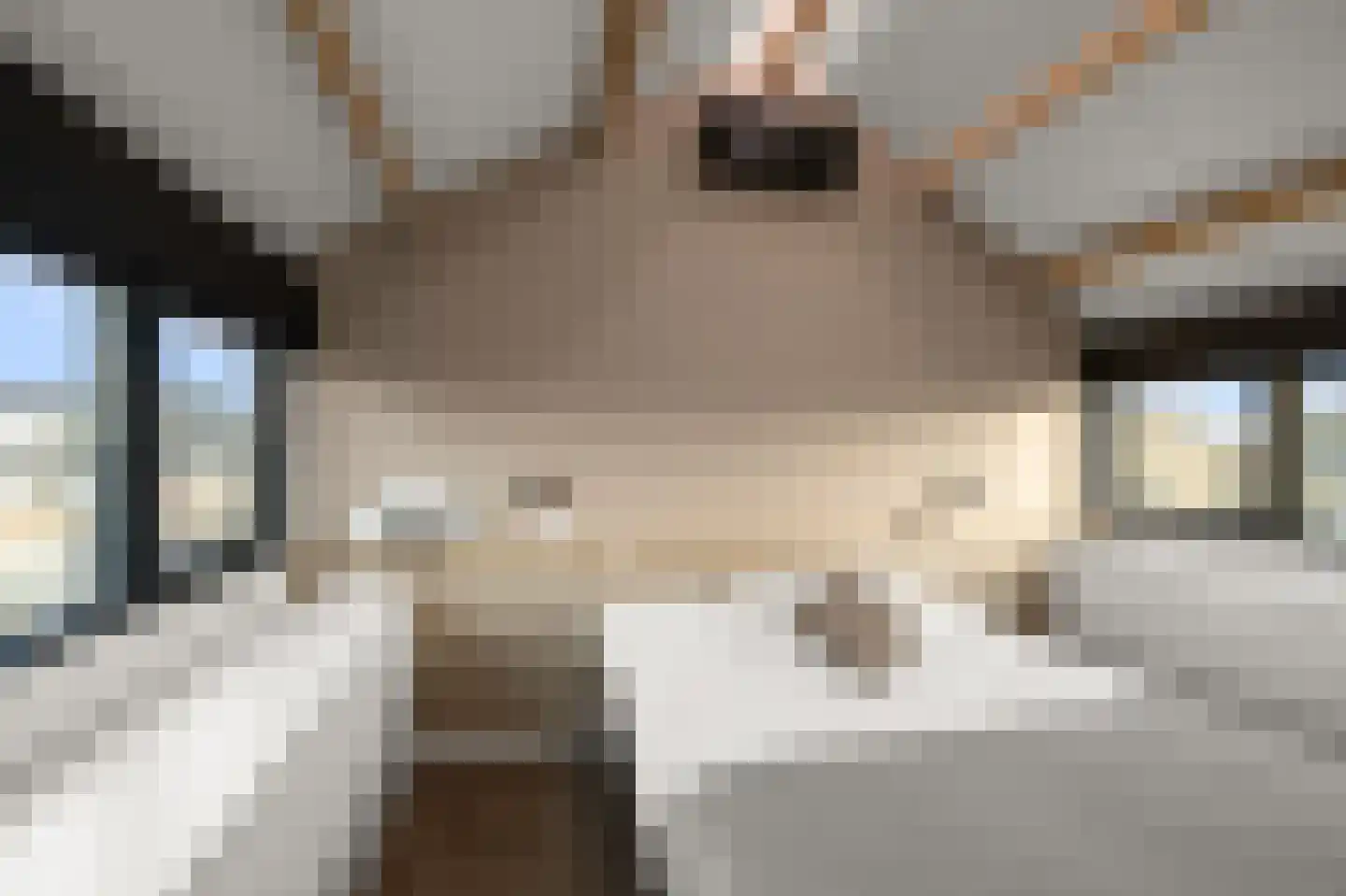 Julianalaan 41 Nieuwkoop thumbnail 36