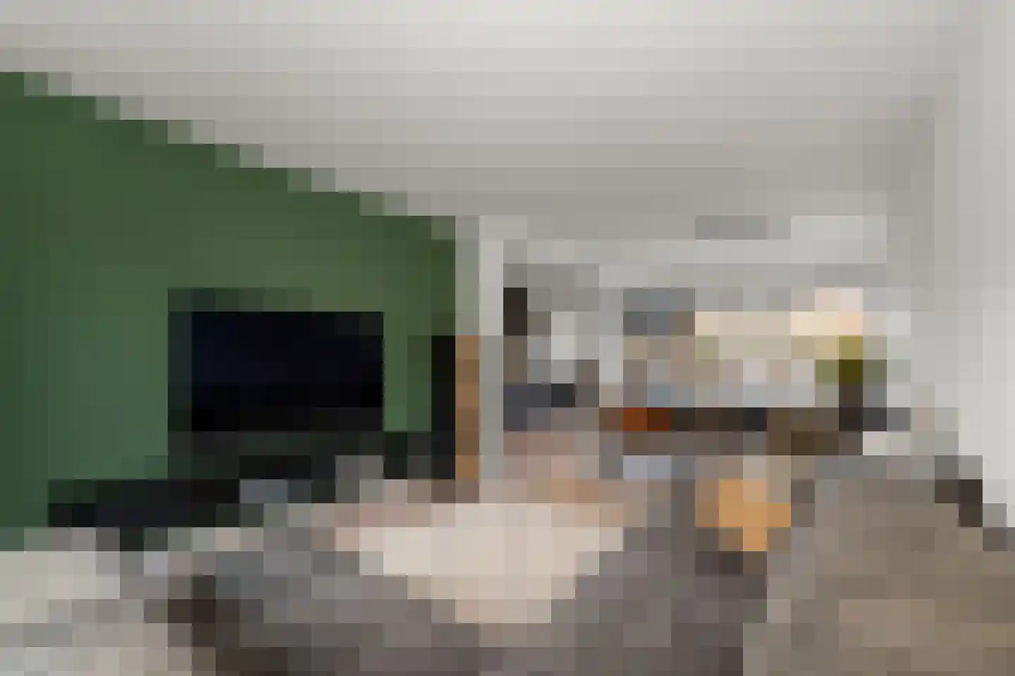 Julianalaan 41 Nieuwkoop thumbnail 4