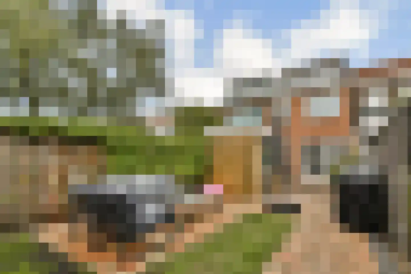 Julianalaan 41 Vlaardingen thumbnail 17