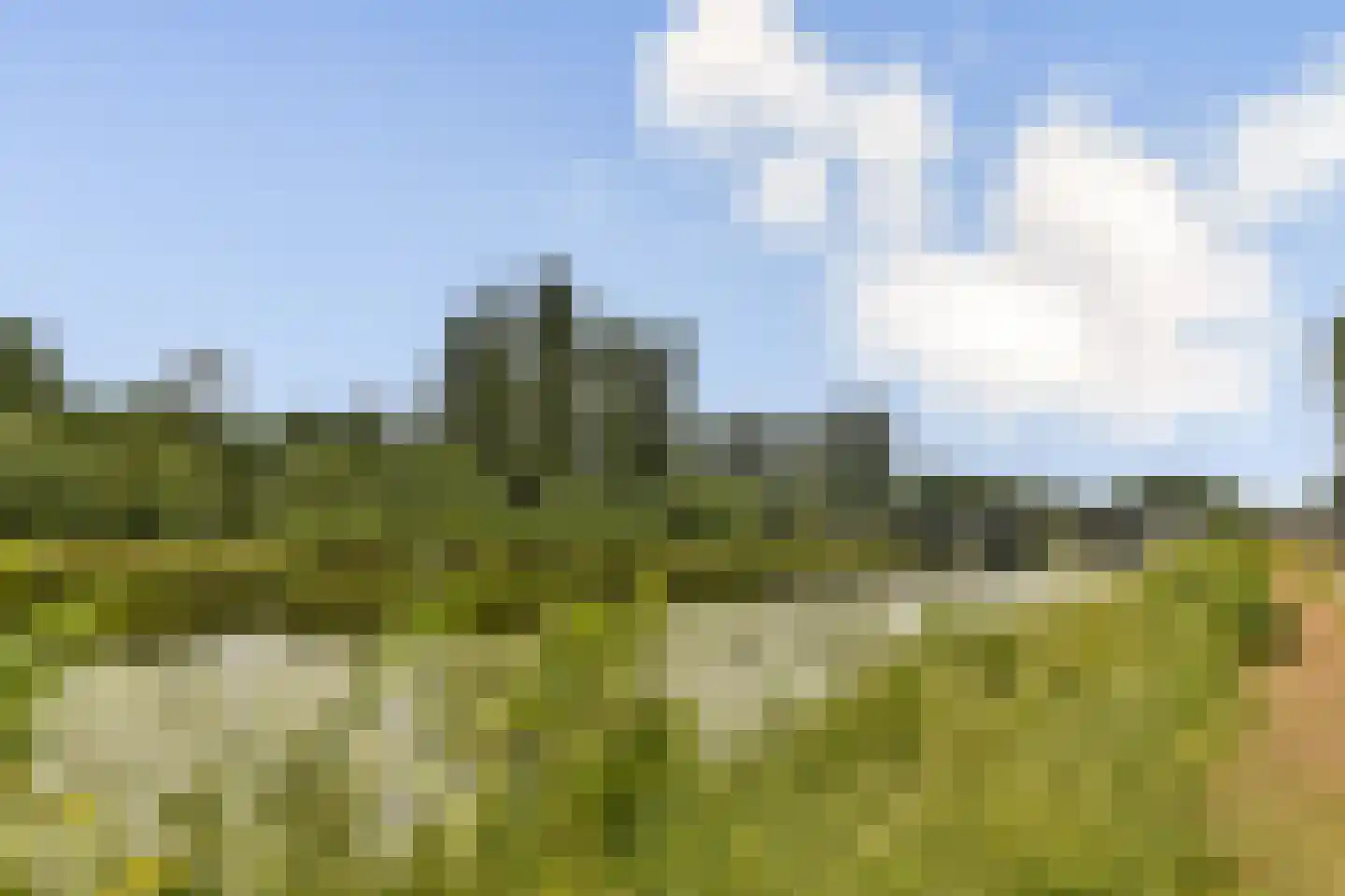 Julianalaan 41 Vlaardingen thumbnail 38