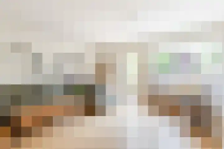 Julianalaan 41 Zwartewaal thumbnail 11