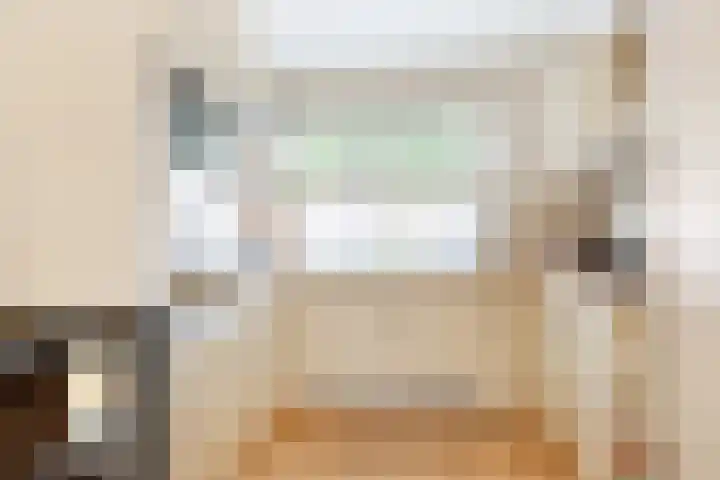 Julianalaan 41 Zwartewaal thumbnail 14