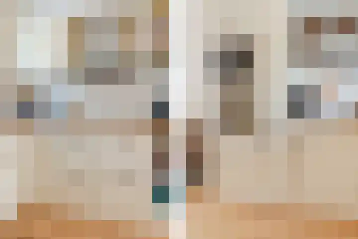 Julianalaan 41 Zwartewaal thumbnail 16