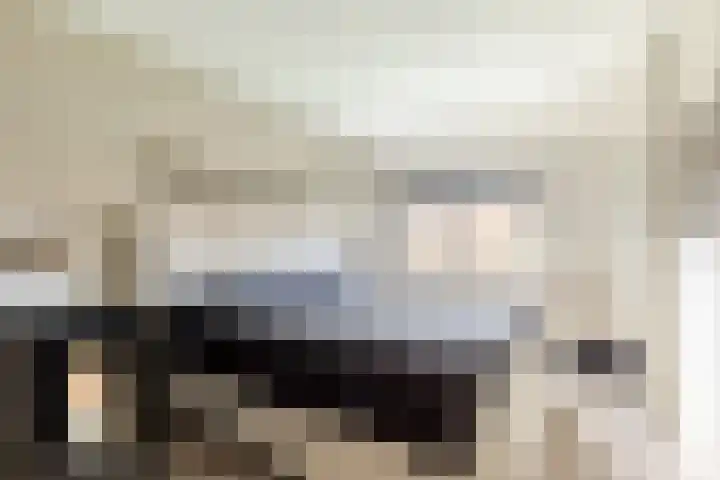 Julianalaan 41 Zwartewaal thumbnail 18
