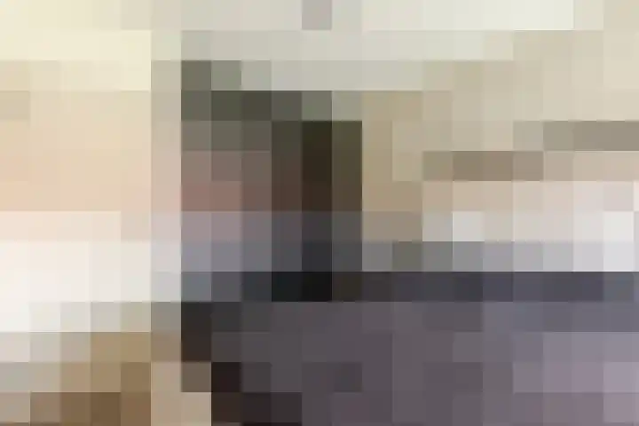 Julianalaan 41 Zwartewaal thumbnail 19