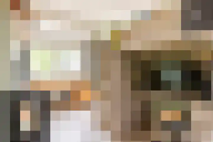 Julianalaan 41 Zwartewaal thumbnail 20