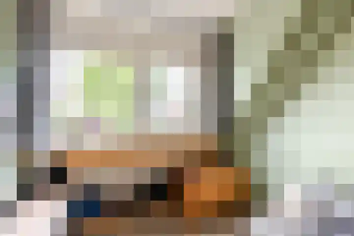 Julianalaan 41 Zwartewaal thumbnail 21