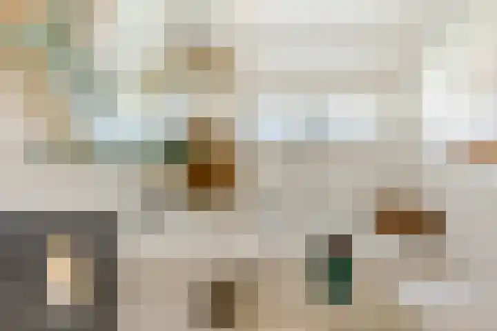 Julianalaan 41 Zwartewaal thumbnail 23
