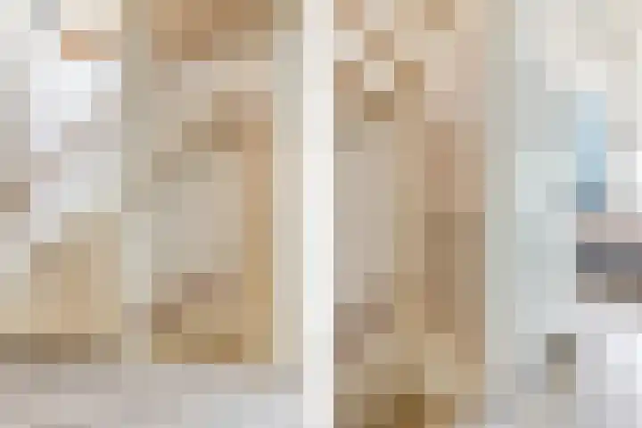Julianalaan 41 Zwartewaal thumbnail 25