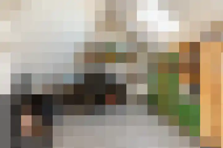 Julianalaan 41 Zwartewaal thumbnail 26