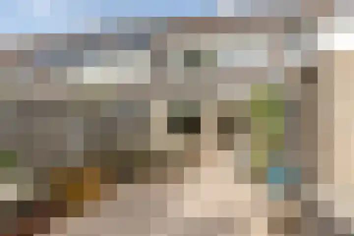 Julianalaan 41 Zwartewaal thumbnail 27