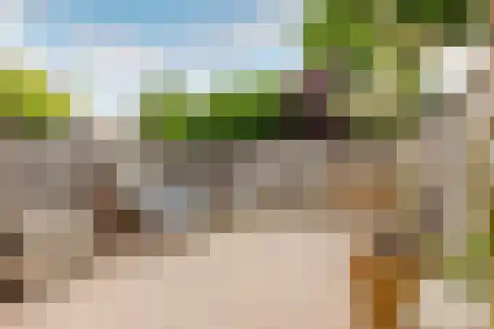 Julianalaan 41 Zwartewaal thumbnail 28