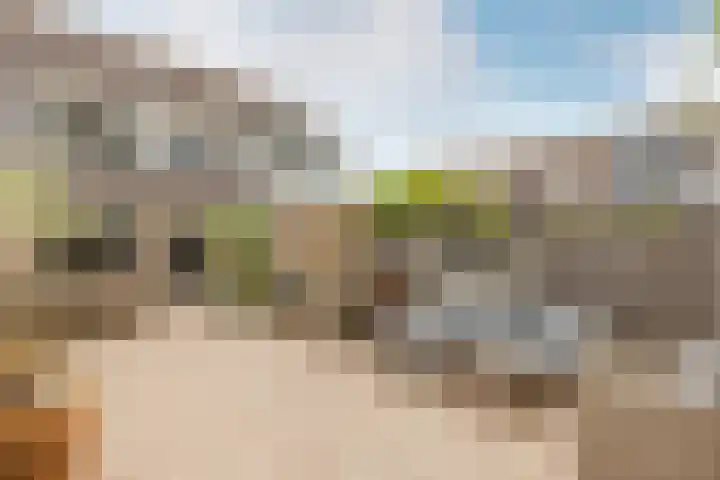 Julianalaan 41 Zwartewaal thumbnail 29