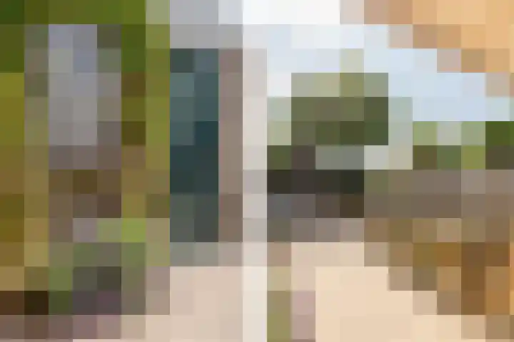 Julianalaan 41 Zwartewaal thumbnail 30