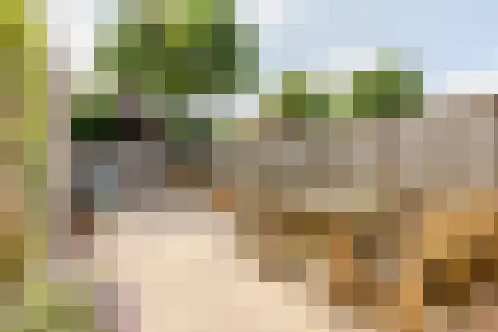 Julianalaan 41 Zwartewaal thumbnail 31