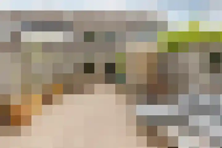 Julianalaan 41 Zwartewaal thumbnail 4