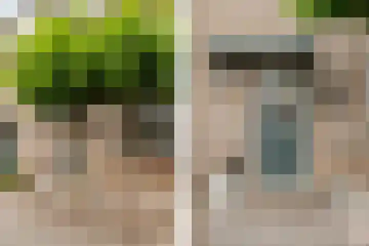 Julianalaan 41 Zwartewaal thumbnail 6